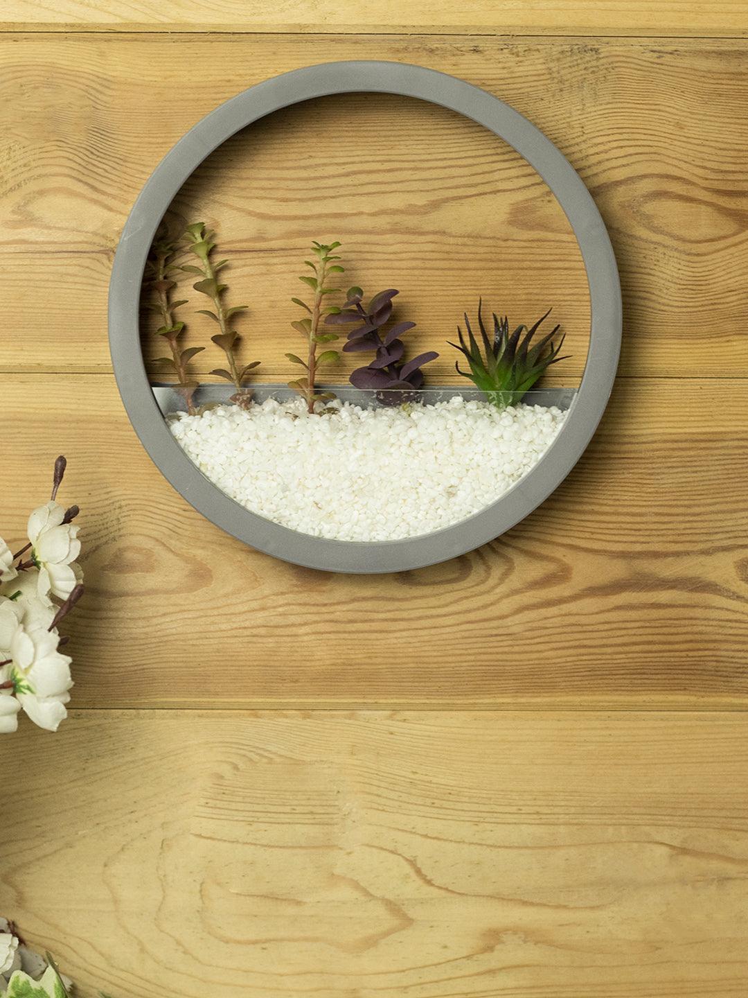 Elegant Round Transparent Wall Hanging Glass Terrarium - MARKET 99