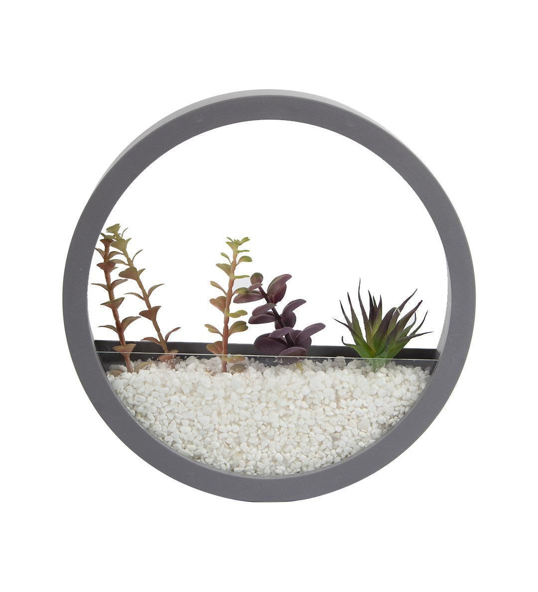 Elegant Round Transparent Wall Hanging Glass Terrarium - MARKET 99