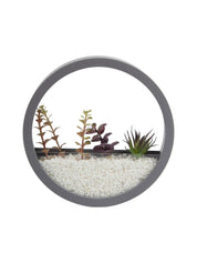 Elegant Round Transparent Wall Hanging Glass Terrarium - MARKET 99