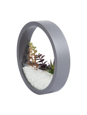 Elegant Round Transparent Wall Hanging Glass Terrarium - MARKET 99