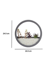 Elegant Round Transparent Wall Hanging Glass Terrarium - MARKET 99