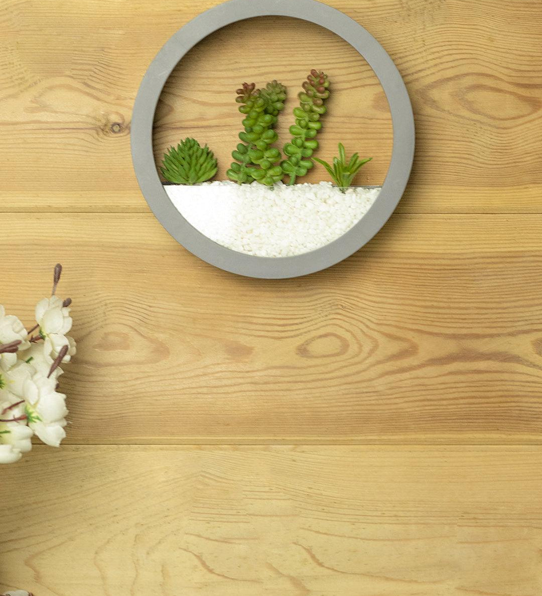 Elegant Round Transparent Wall Hanging Terrarium - MARKET 99