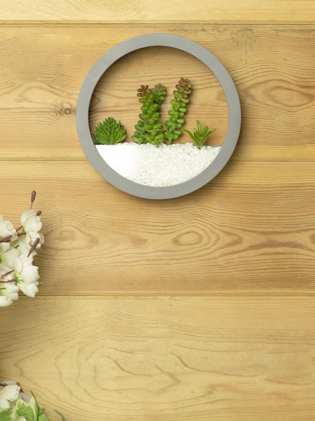 Elegant Round Transparent Wall Hanging Terrarium - MARKET 99