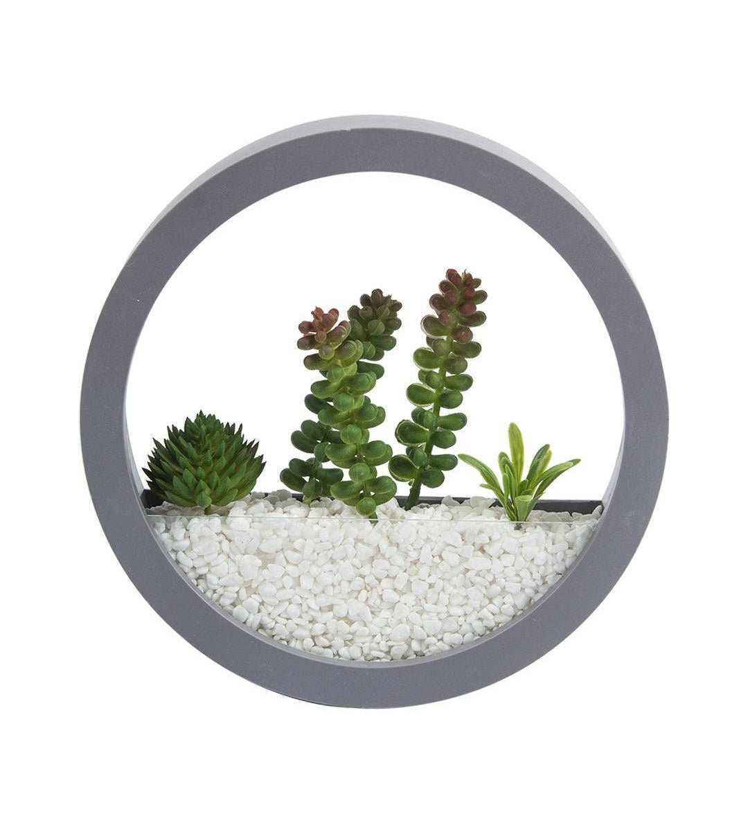 Elegant Round Transparent Wall Hanging Terrarium - MARKET 99