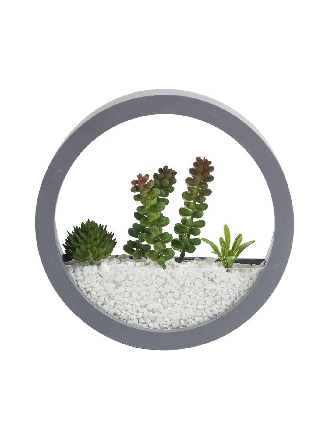 Elegant Round Transparent Wall Hanging Terrarium - MARKET 99