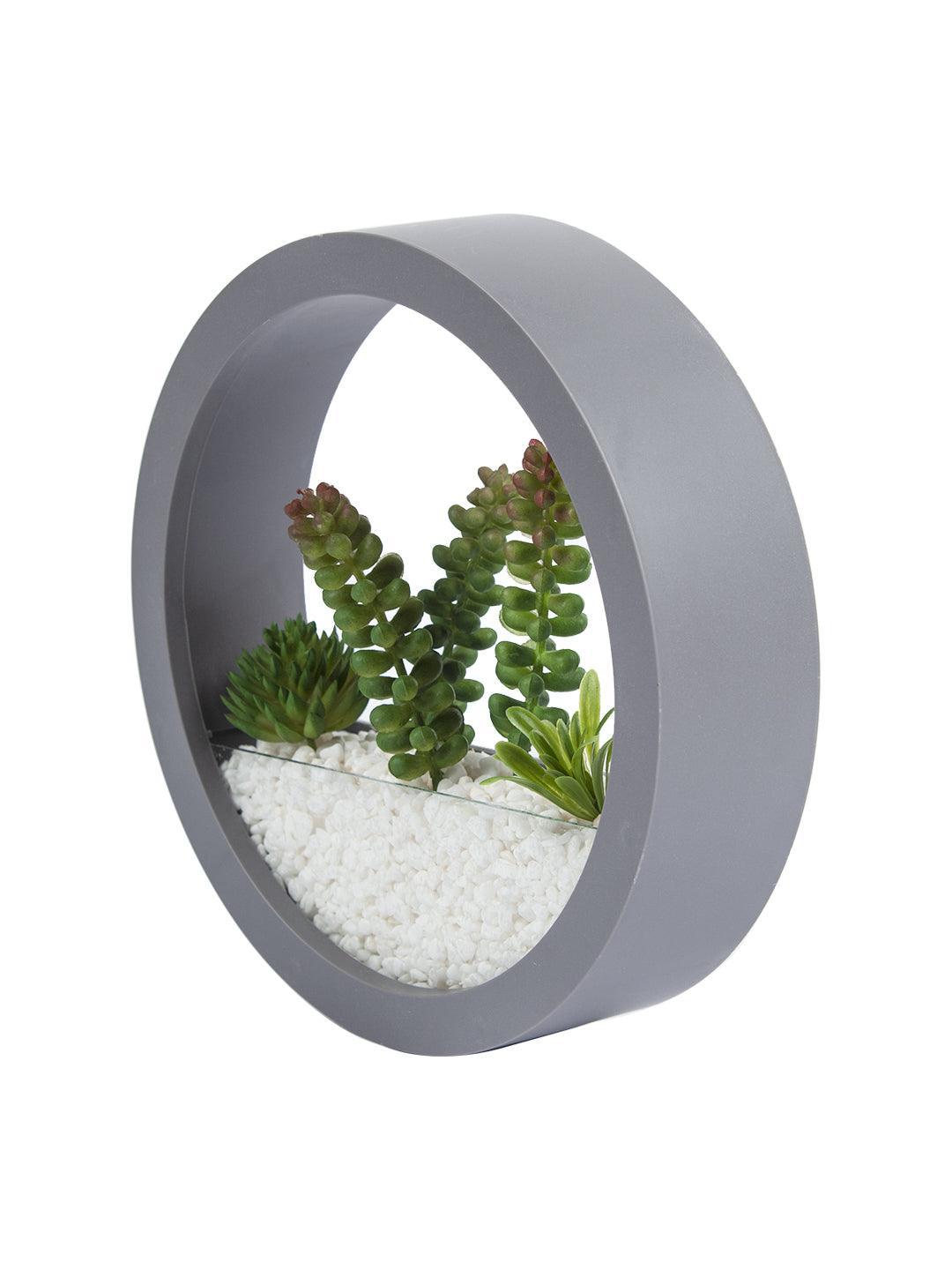 Elegant Round Transparent Wall Hanging Terrarium - MARKET 99