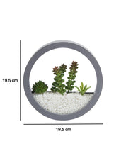 Elegant Round Transparent Wall Hanging Terrarium - MARKET 99