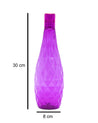 Dimension Purple Water Bottles