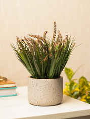 Grey Pot With Brown & Green Plant - MARKET 99