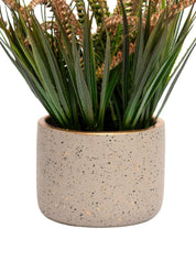 Grey Pot With Brown & Green Plant - MARKET 99