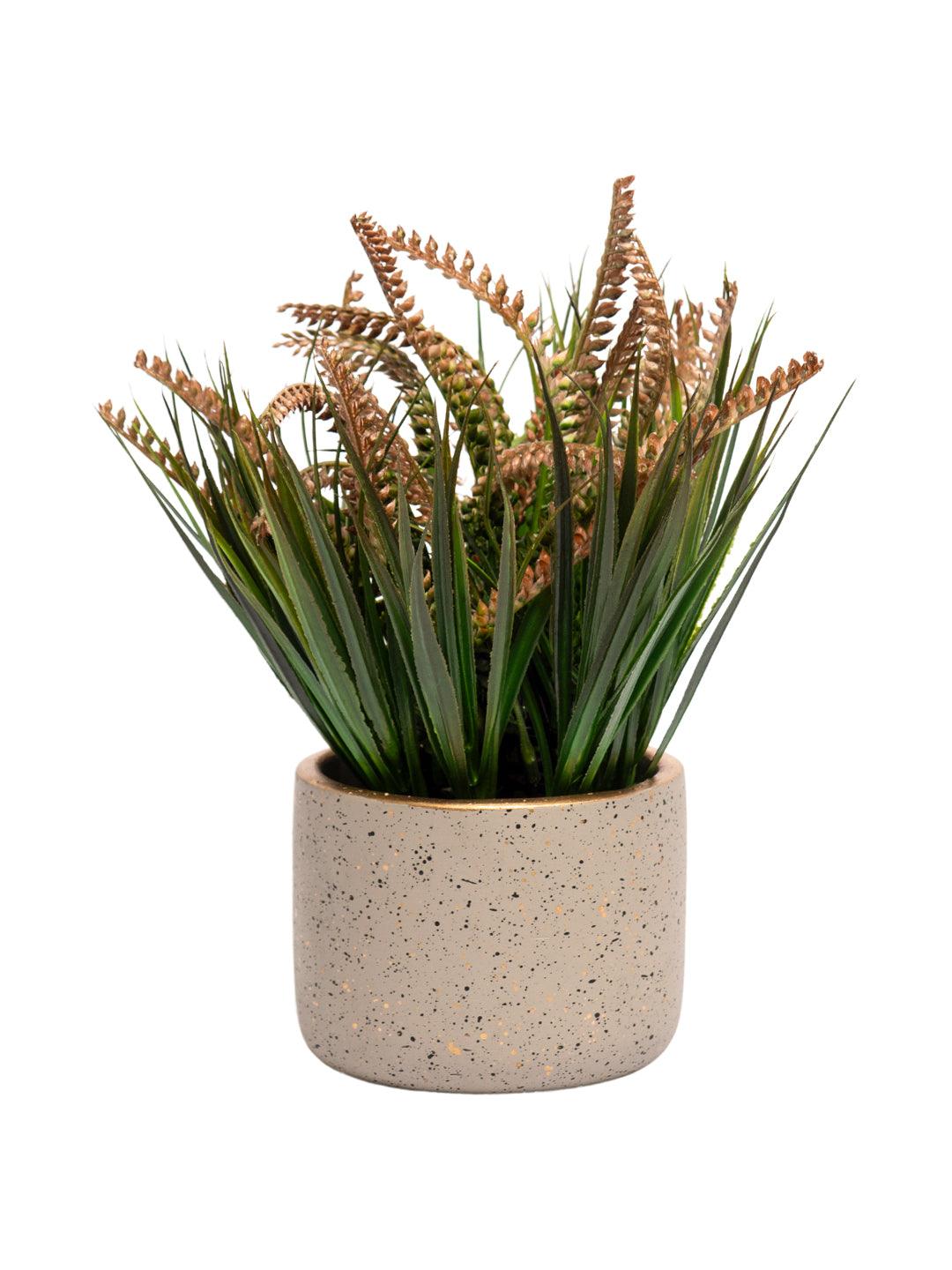 Grey Pot With Brown & Green Plant - MARKET 99