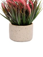 Grey Pot With Pink & Green Plant - MARKET 99