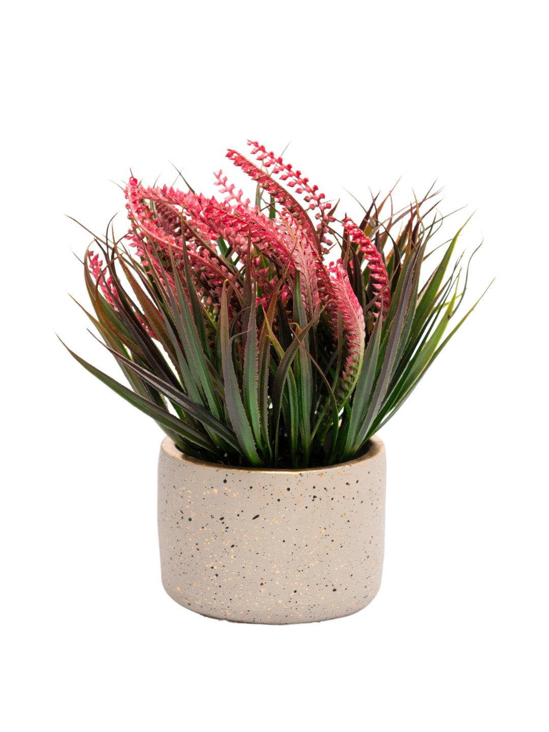 Grey Pot With Pink & Green Plant - MARKET 99