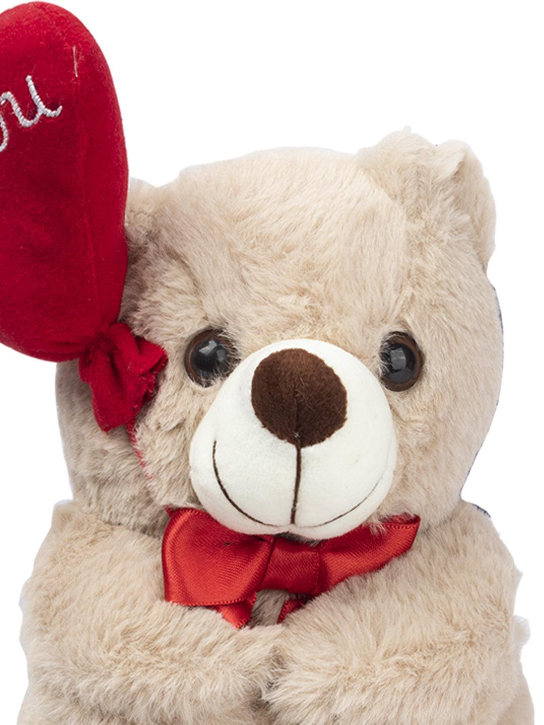 Rainbow Teddy Bear Valentine Gift