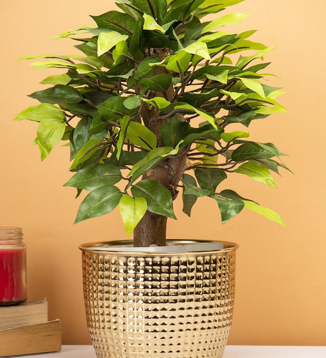 Diwali Decoration Item PLANTER