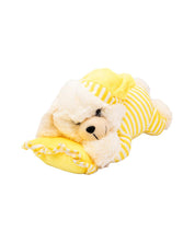 Kids Star Dreaming Bear, Plush Toy, Yellow, Polyester - MARKET 99