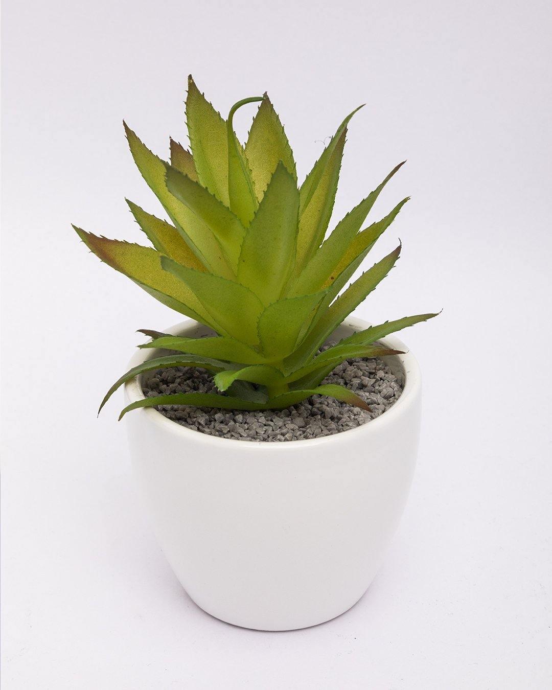 Market99 Artificial Flower with Pot, Green, Plastic & Ceramic - MARKET 99