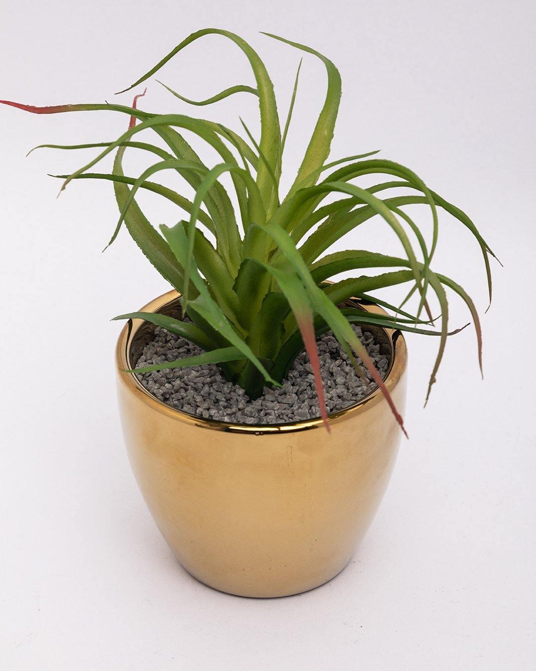 Market99 Artificial Flower with Pot, Green, Plastic & Ceramic - MARKET 99