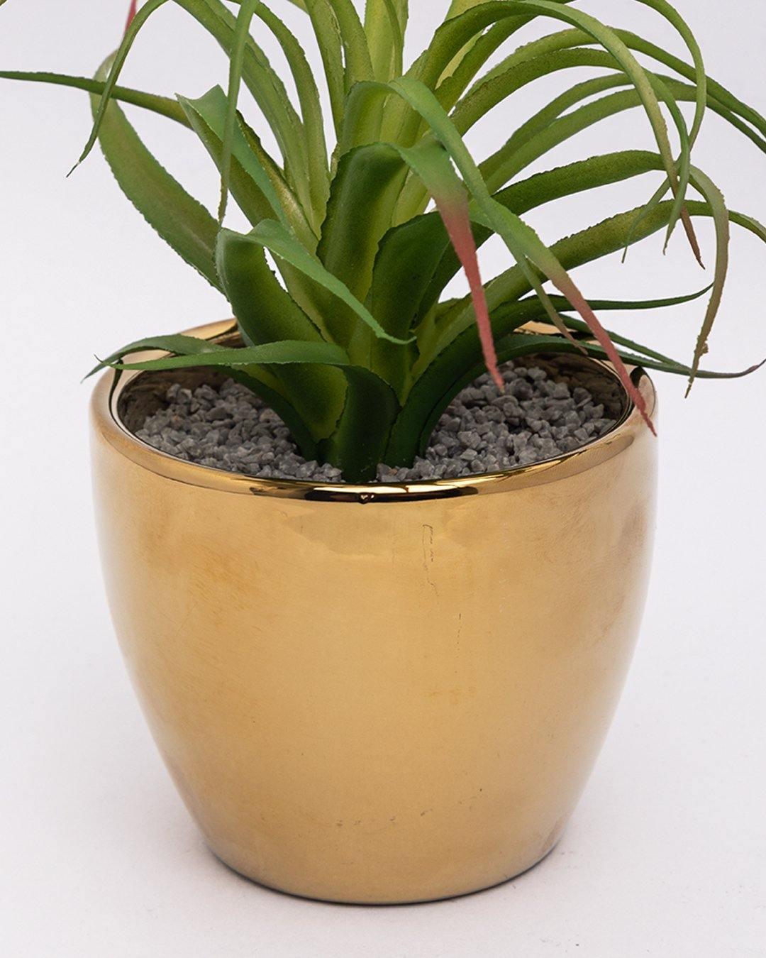 Market99 Artificial Flower with Pot, Green, Plastic & Ceramic - MARKET 99