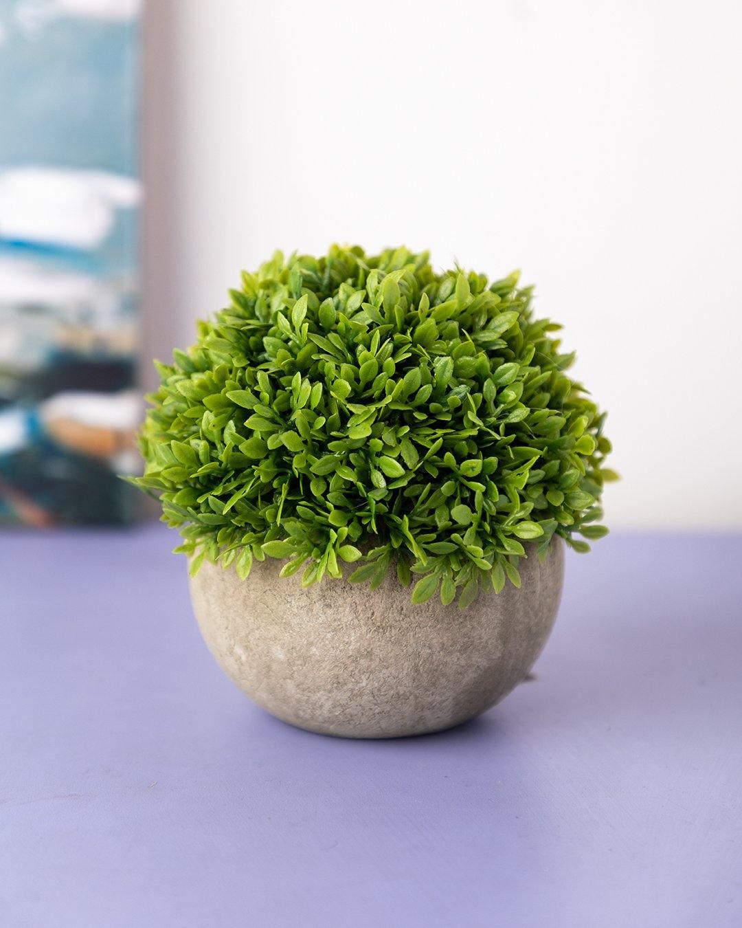 Market99 Artificial Flower with Pot, Green, Plastic - Market99