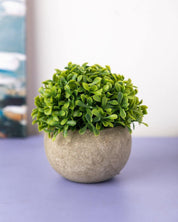 Market99 Artificial Flower with Pot, Green, Plastic - MARKET 99