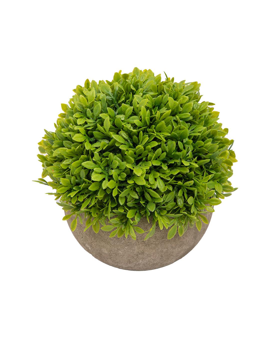 Market99 Artificial Flower with Pot, Green, Plastic - MARKET 99