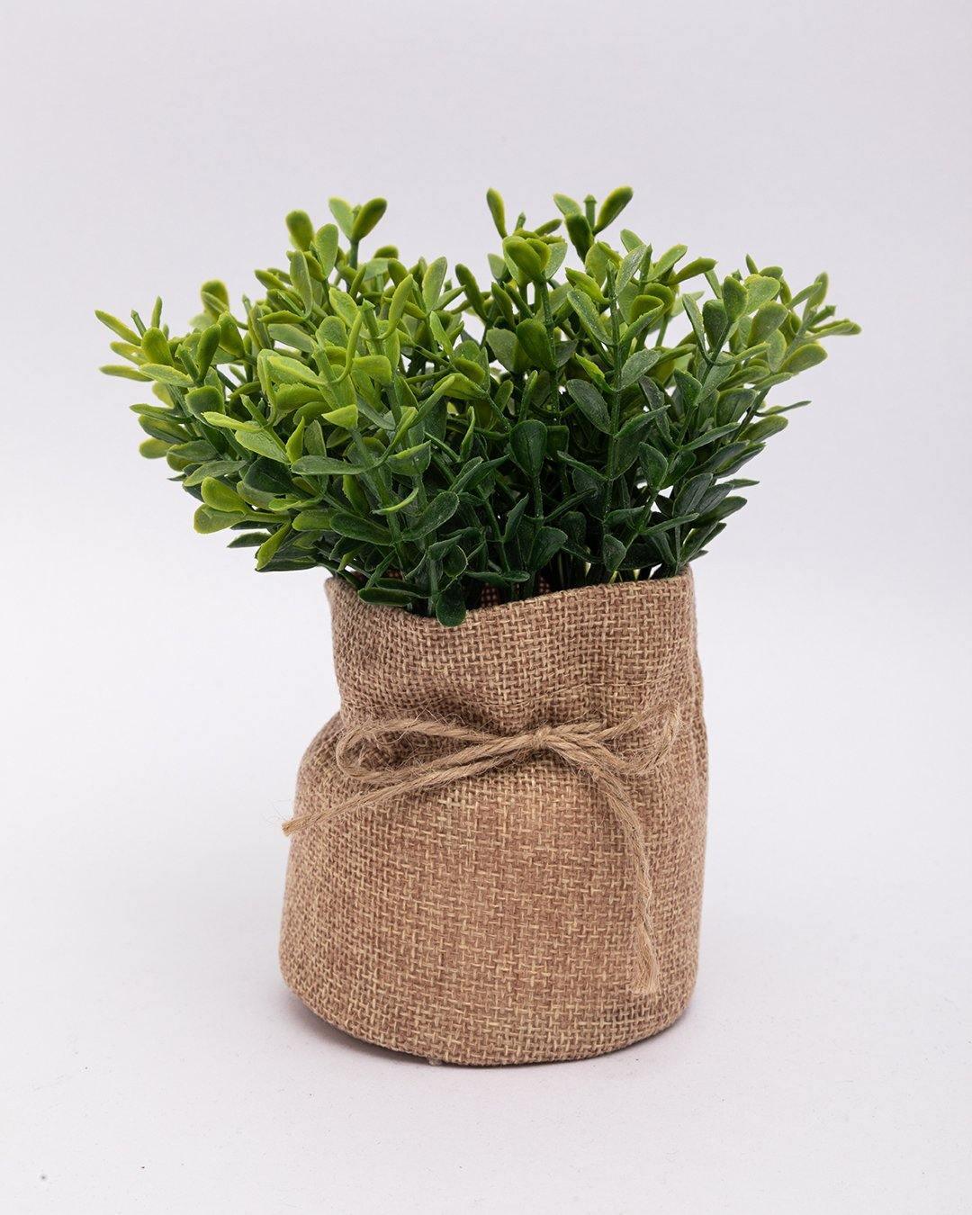 Market99 Artificial Flower with Pot, Green, Plastic - MARKET 99