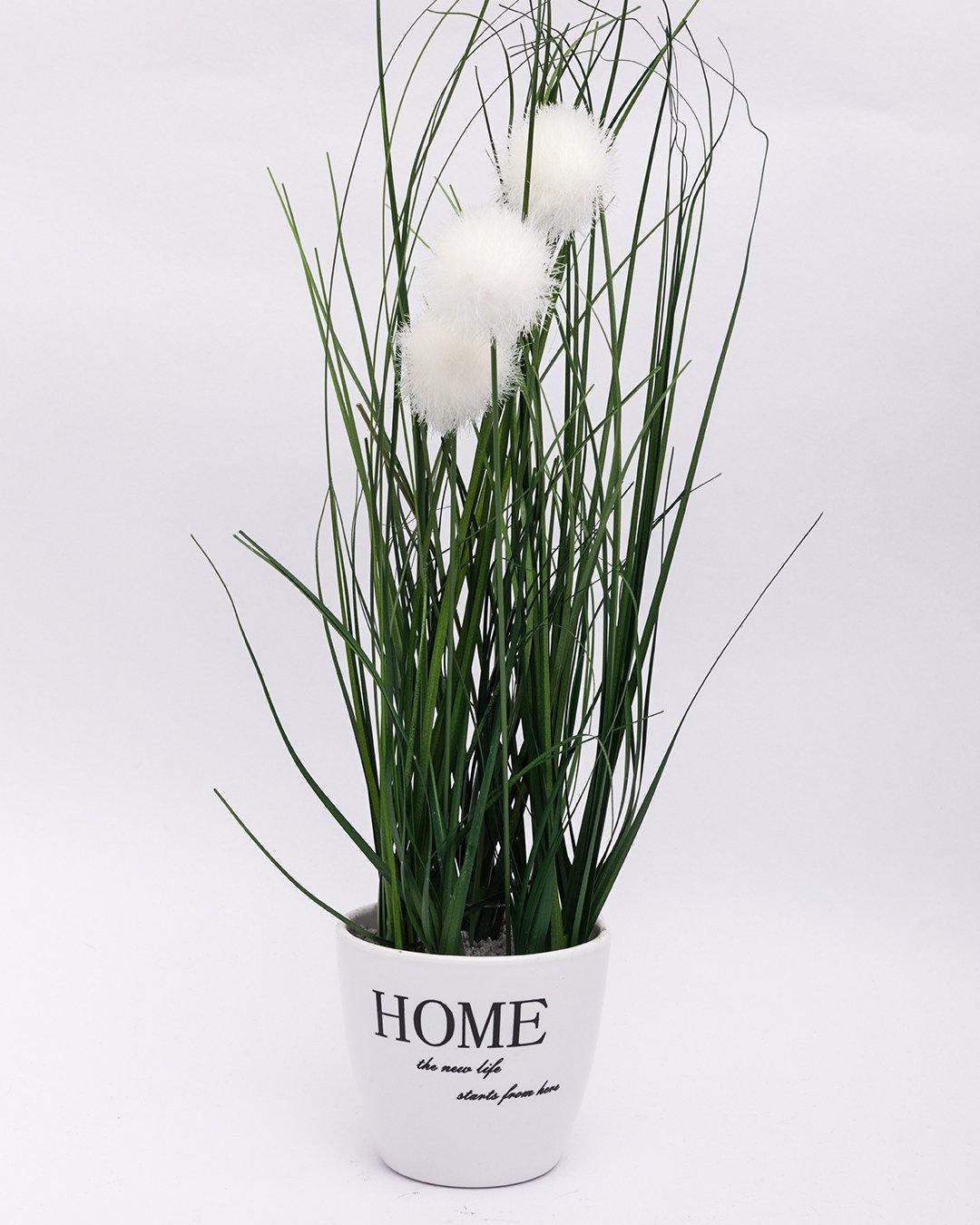 Market99 Artificial Flower with Pot, Green, Plastic - MARKET 99