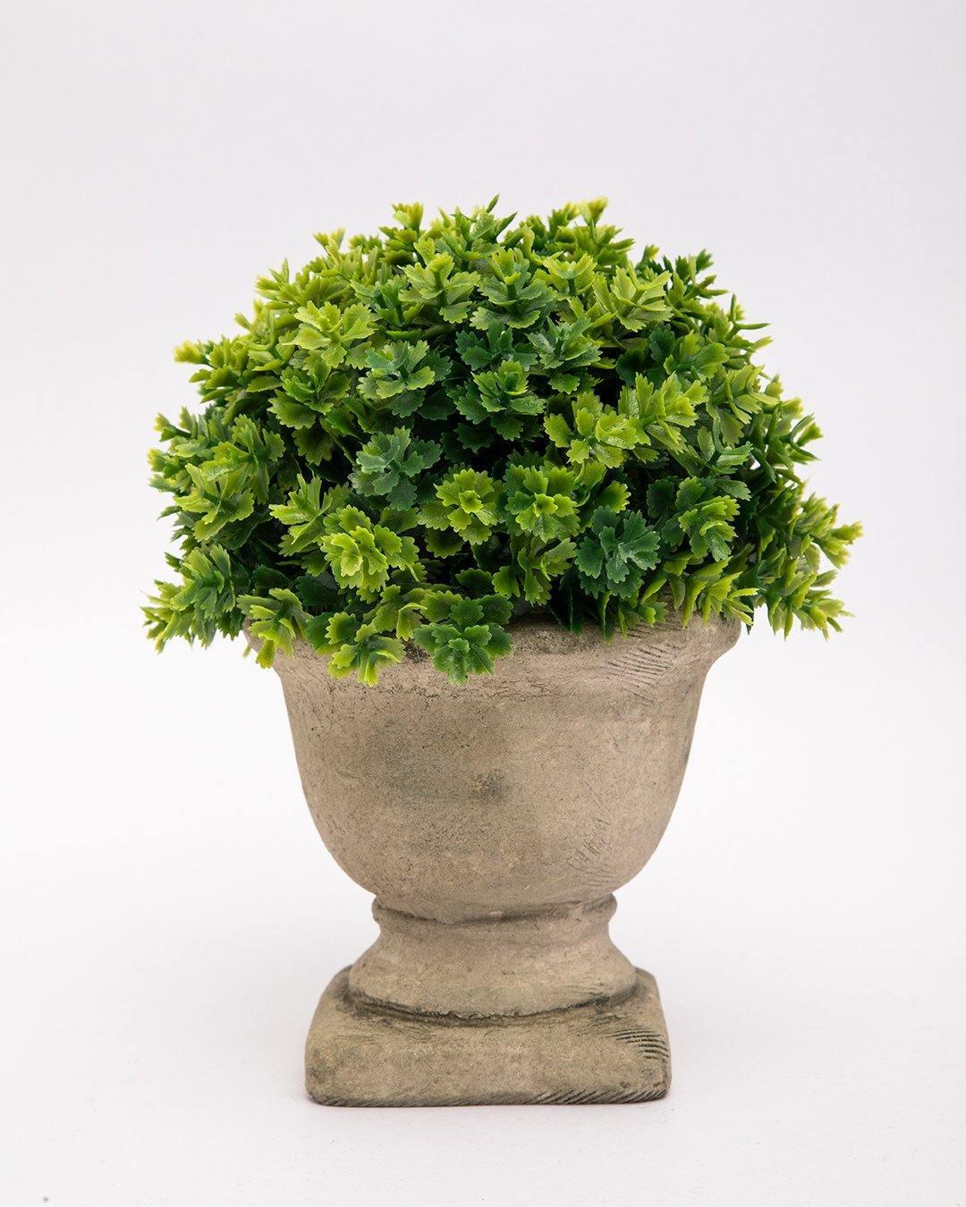 Market99 Artificial Flower with Pot, Green, Plastic - MARKET 99