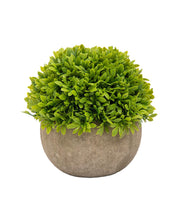 Market99 Artificial Flower with Pot, Green, Plastic - MARKET 99