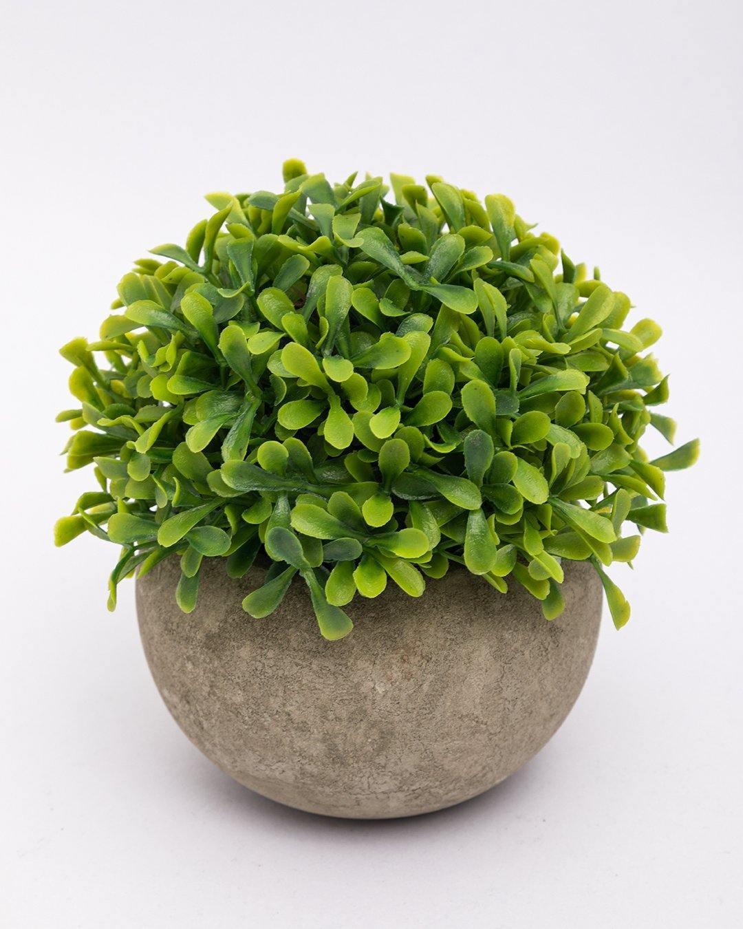 Market99 Artificial Flower with Pot, Green, Plastic - MARKET 99