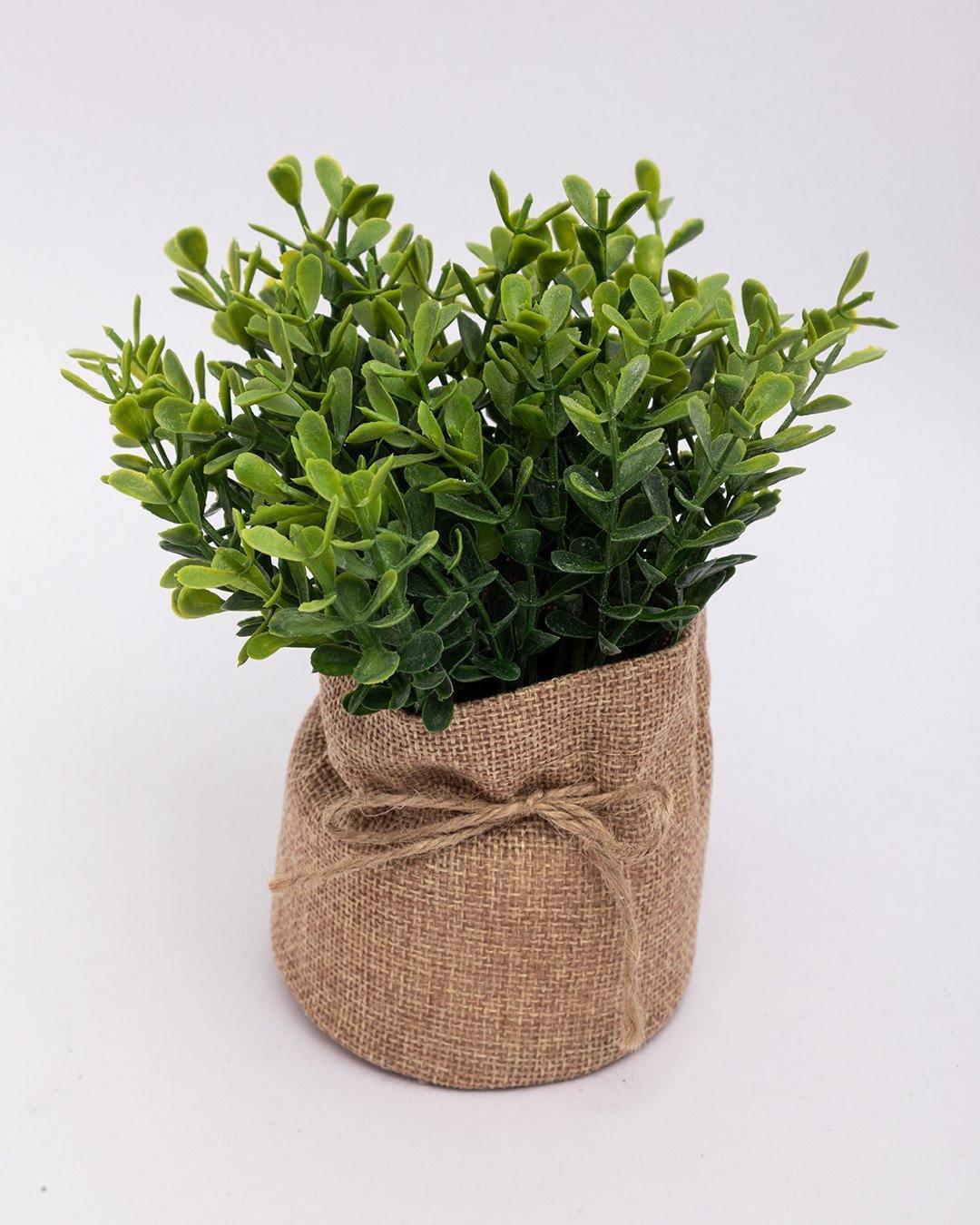 Market99 Artificial Flower with Pot, Green, Plastic - MARKET 99