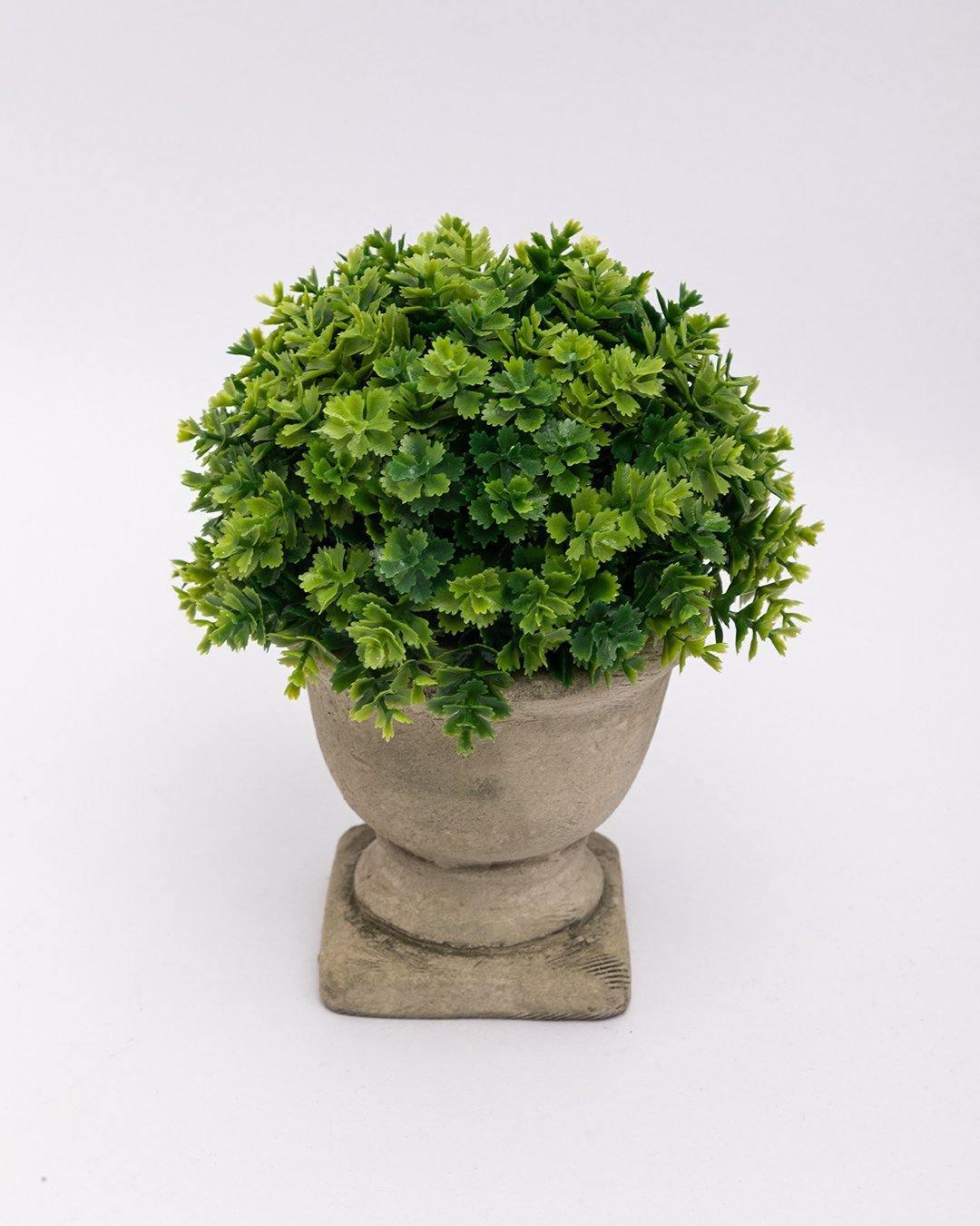 Market99 Artificial Flower with Pot, Green, Plastic - MARKET 99