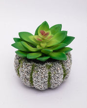 Market99 Artificial Flower with Pot, Green, Plastic - MARKET 99