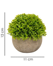 Market99 Artificial Flower with Pot, Green, Plastic - MARKET 99