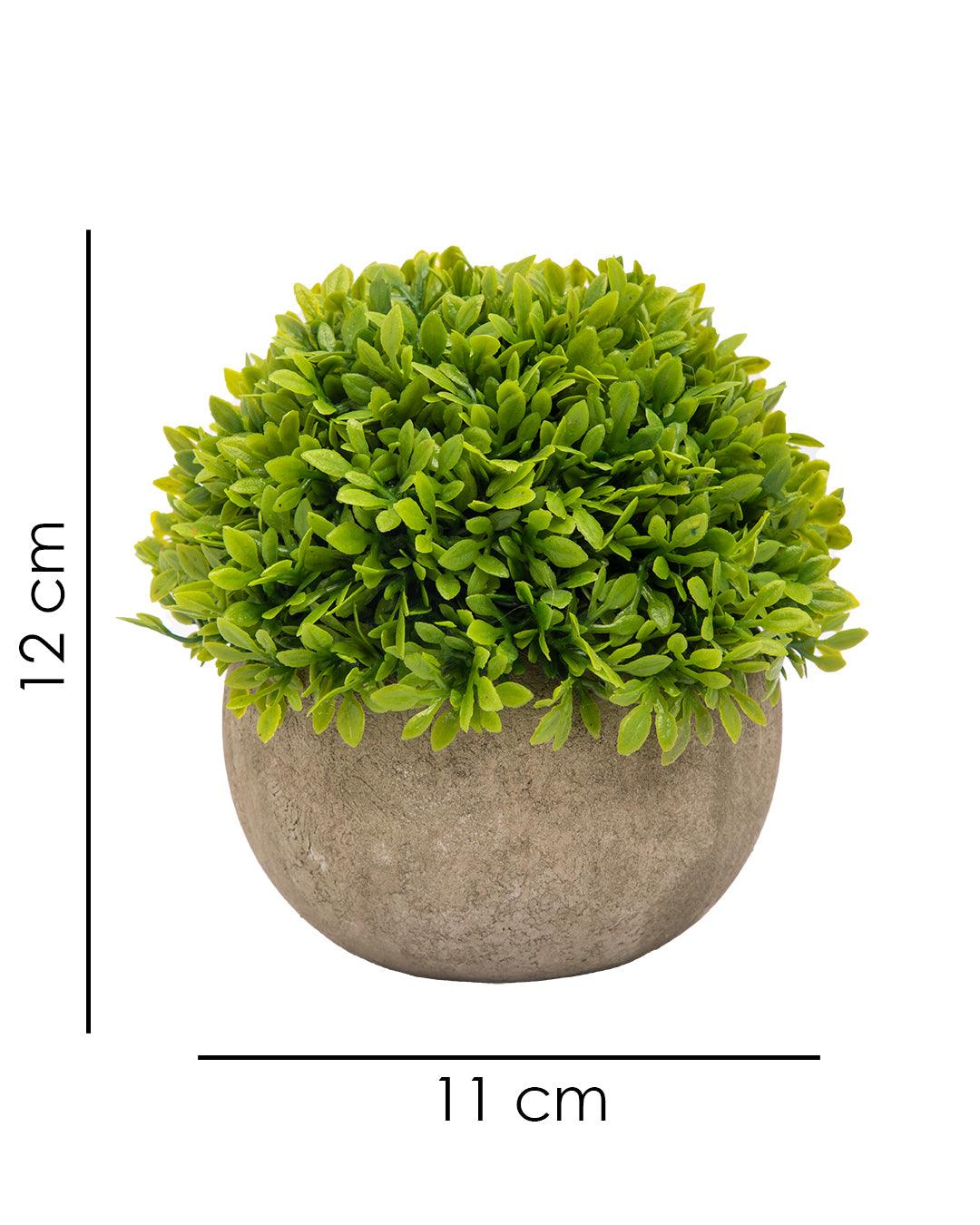 Market99 Artificial Flower with Pot, Green, Plastic - MARKET 99