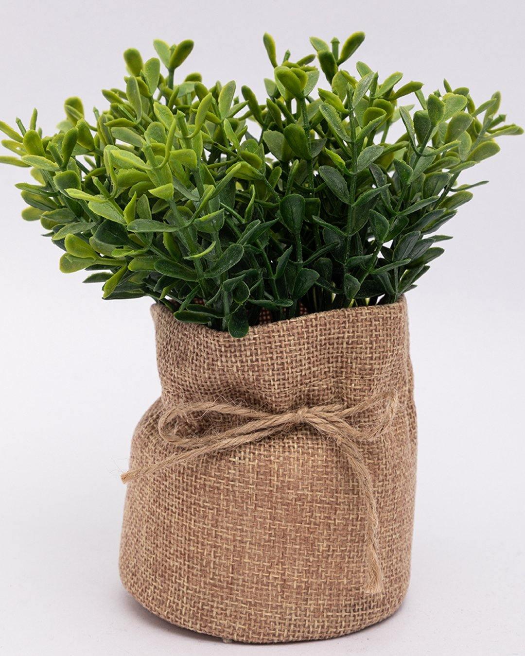 Market99 Artificial Flower with Pot, Green, Plastic - MARKET 99