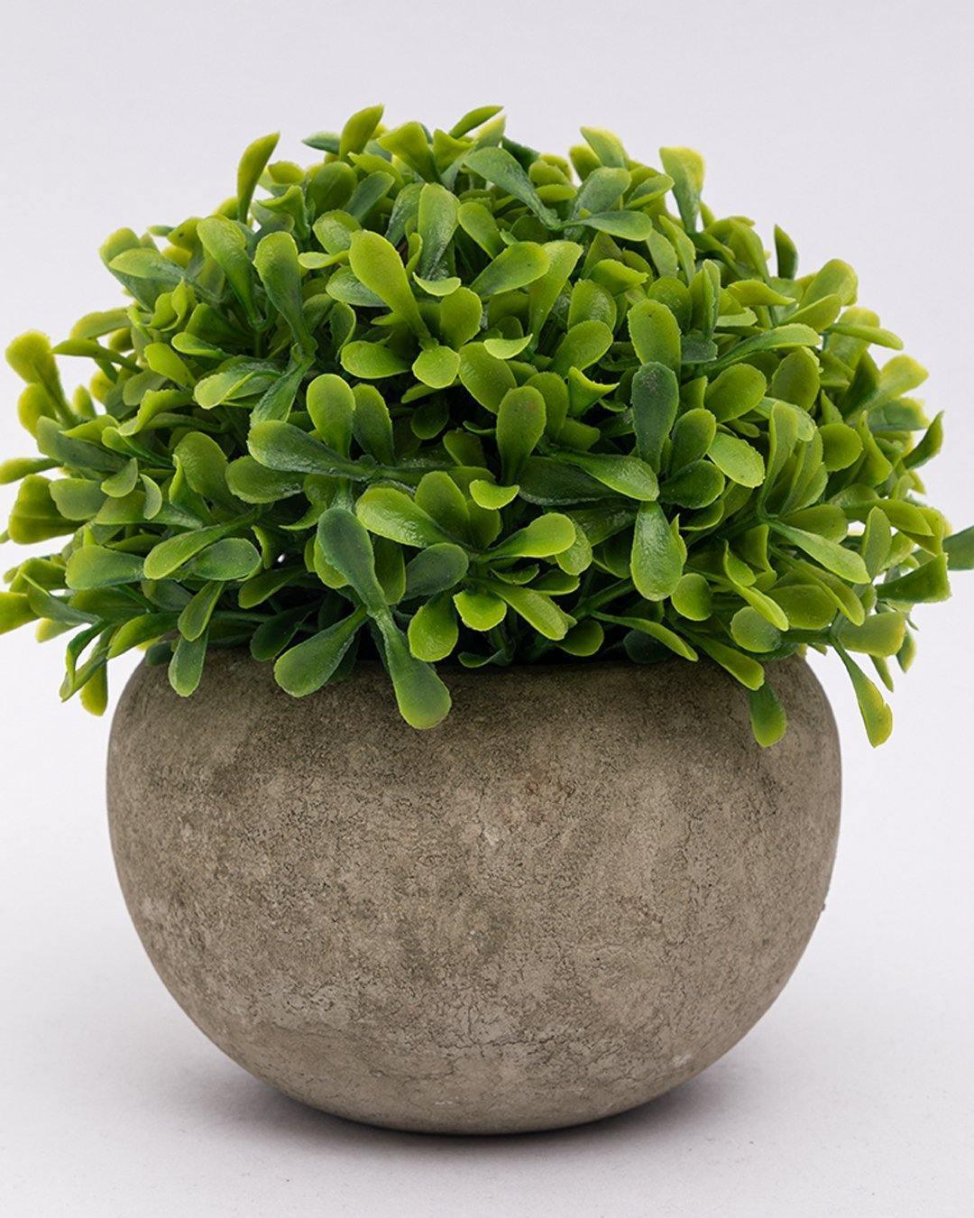 Market99 Artificial Flower with Pot, Green, Plastic - MARKET 99