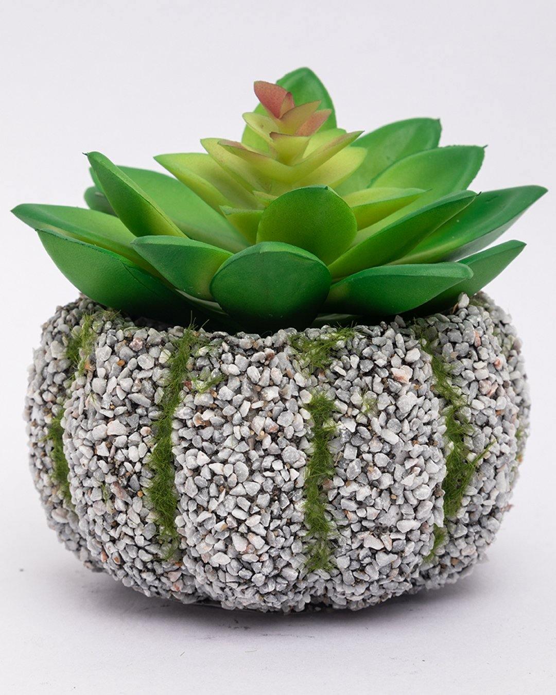 Market99 Artificial Flower with Pot, Green, Plastic - MARKET 99