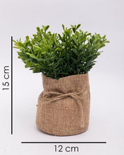 Market99 Artificial Flower with Pot, Green, Plastic - MARKET 99