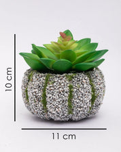 Market99 Artificial Flower with Pot, Green, Plastic - MARKET 99