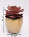 Market99 Artificial Flower with Pot, Red, Plastic & Ceramic - MARKET 99