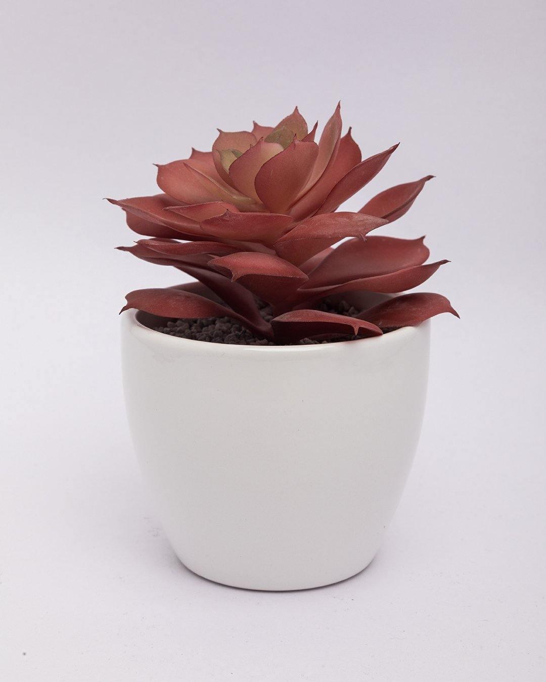 Market99 Artificial Flower with Pot, Red, Plastic & Ceramic - MARKET 99