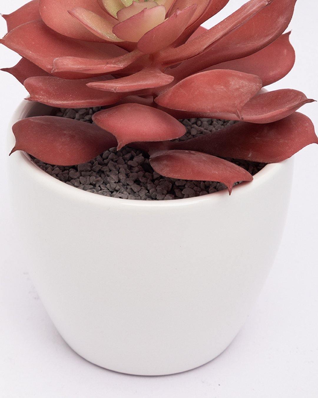 Market99 Artificial Flower with Pot, Red, Plastic & Ceramic - MARKET 99