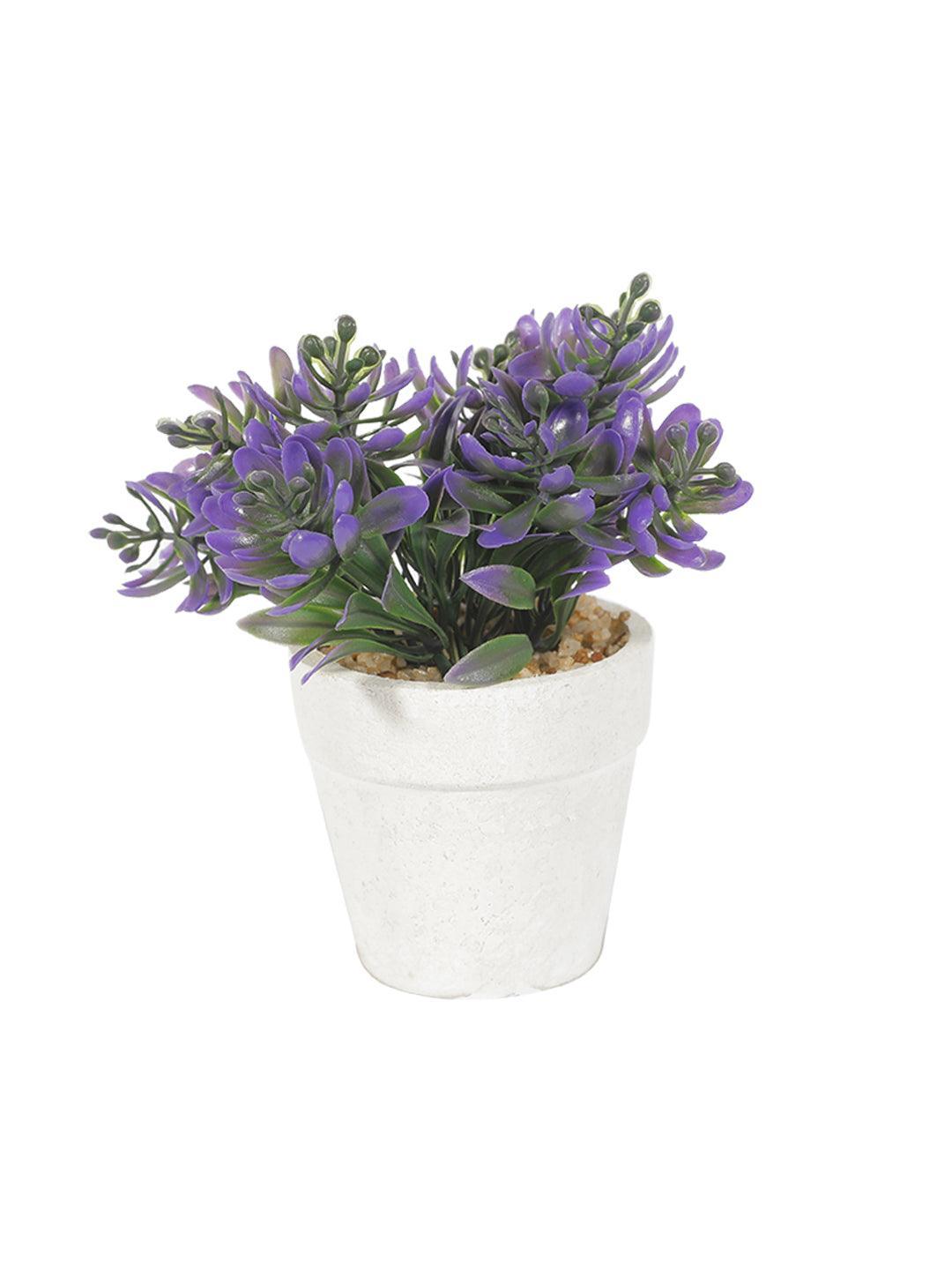 Market99 Decor Bonsai Bush Planter Pot - MARKET 99