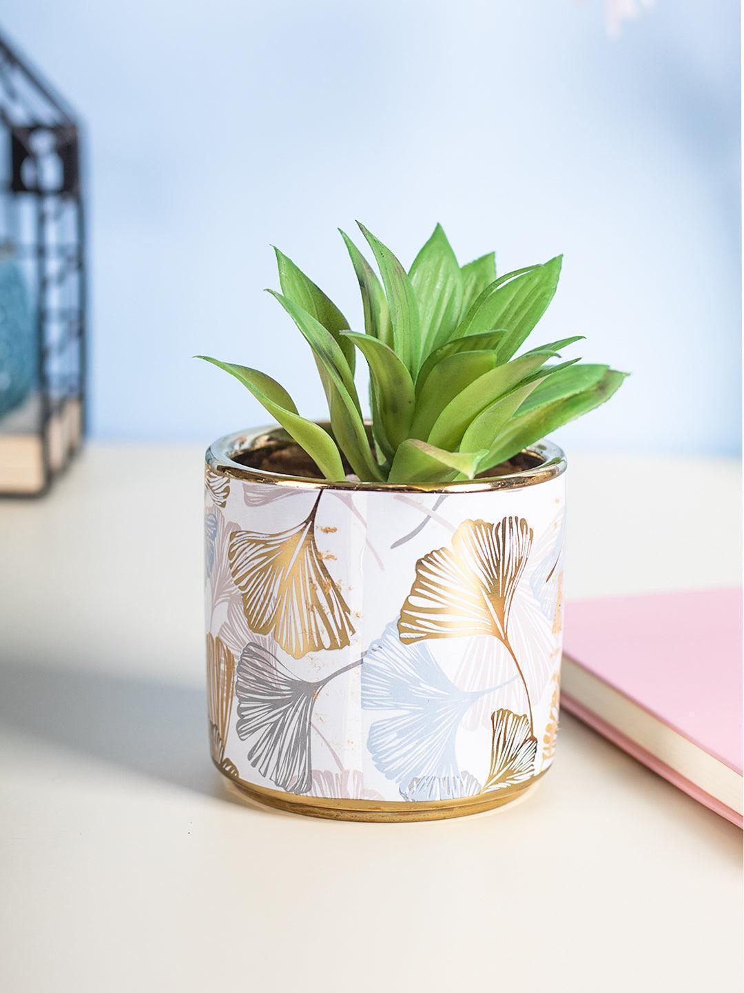 Market99 Fake Aloevera Desktop Planter - MARKET 99