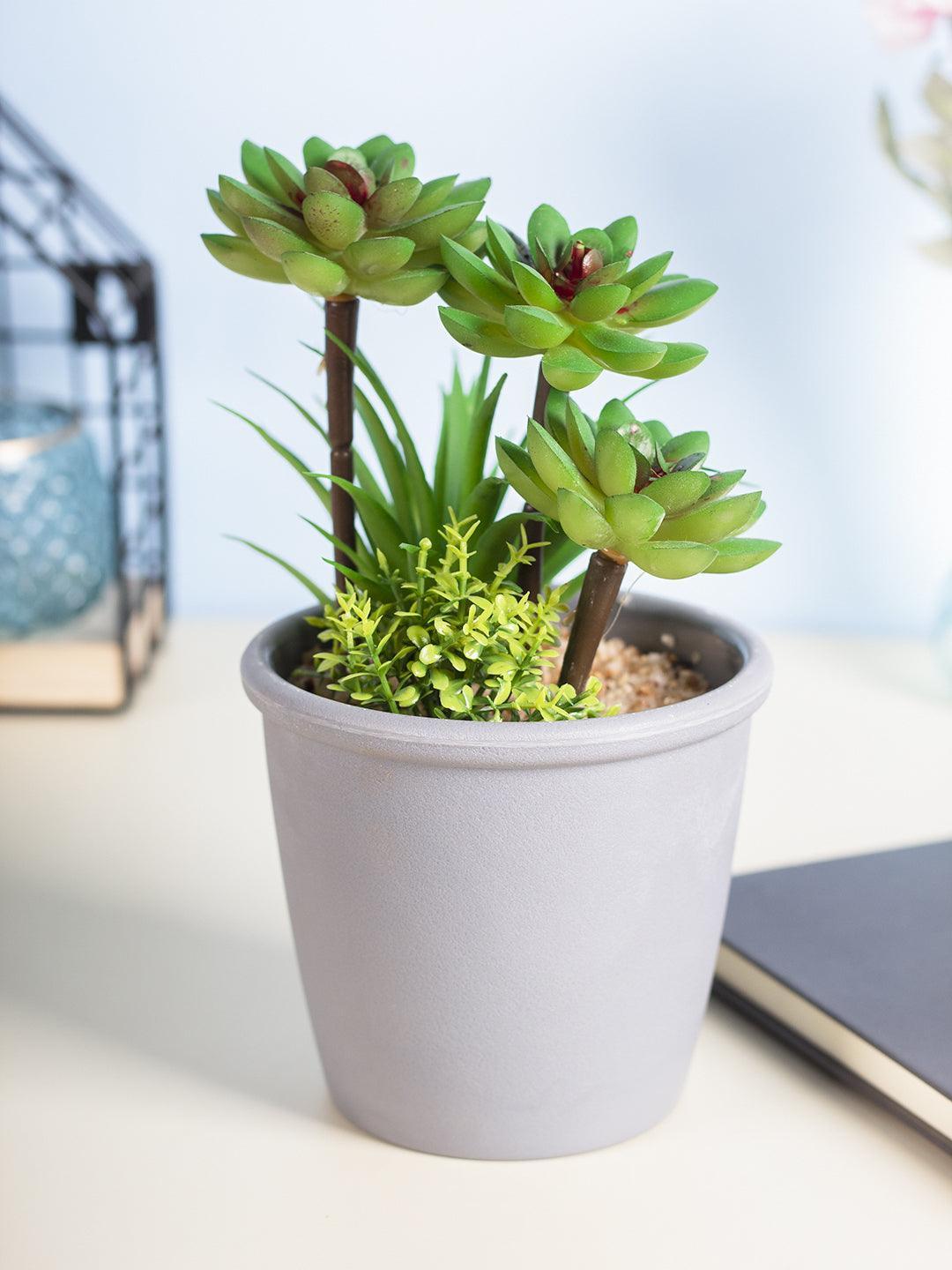 Market99 Fake Mini Succulent Plant Pot - MARKET 99