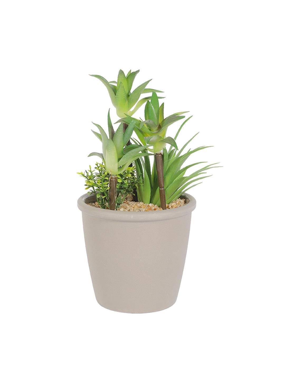 Market99 Fake Mini Succulent Plant Pot - MARKET 99