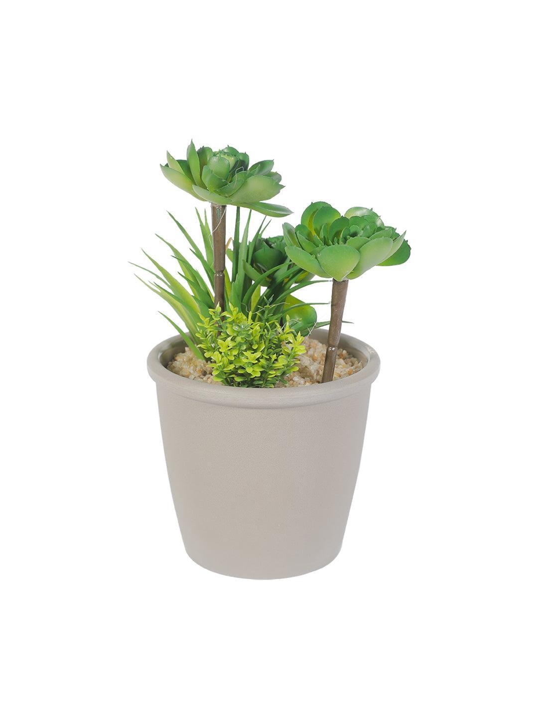 Market99 Fake Mini Succulent Plant Pot - MARKET 99