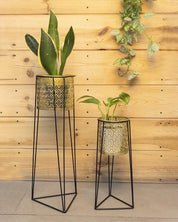 Market99 Metal Planter with Stand, Golden Colour, Iron, Set of 2 - MARKET 99